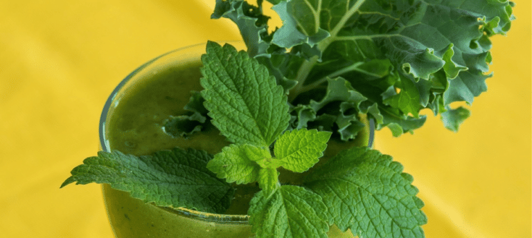 Photo of a green smoothie in a glass with a sprig of kale and mint as garnish