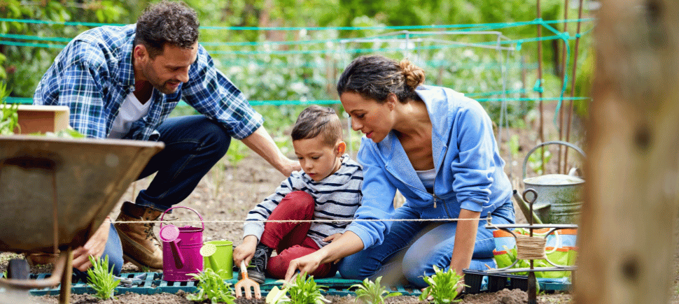 Photo of a family gardening together