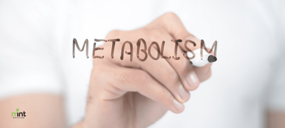 Close-up image of a person writing the word "metabolism"