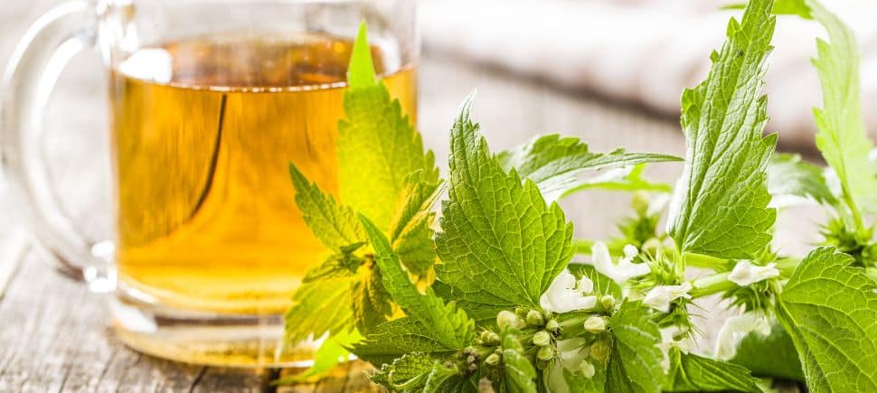 Photo of a peppermint tea in a clear mug next to fresh peppermint leaves