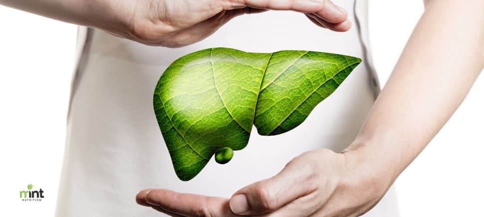 Illustration of a healthy liver made from green leaves symbolizing natural liver detox support – MINT Nutrition Mooresville NC