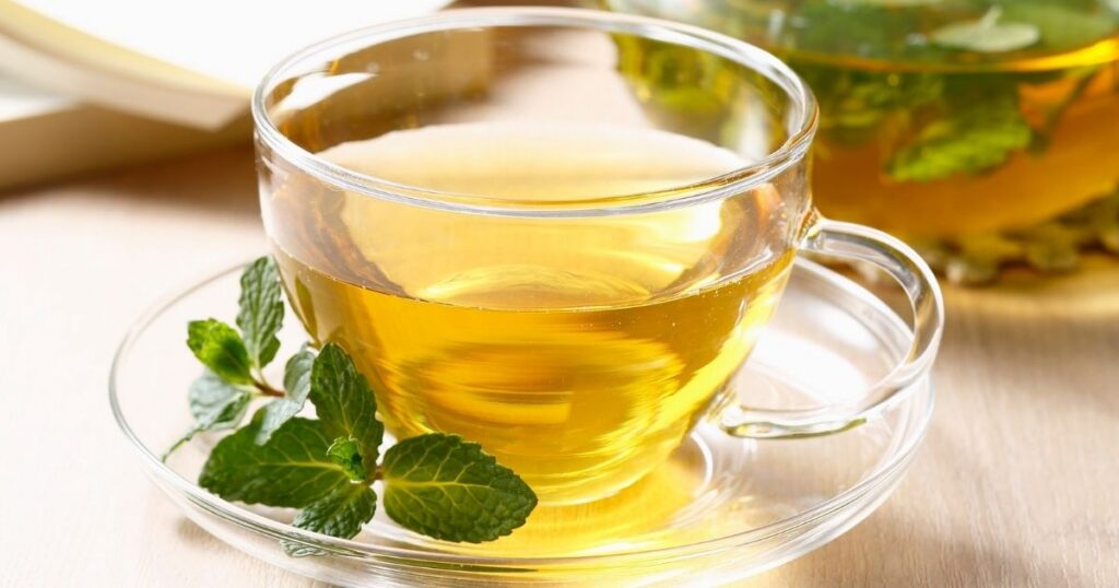 Green tea with mint, a polyphenol-rich source that supports autophagy